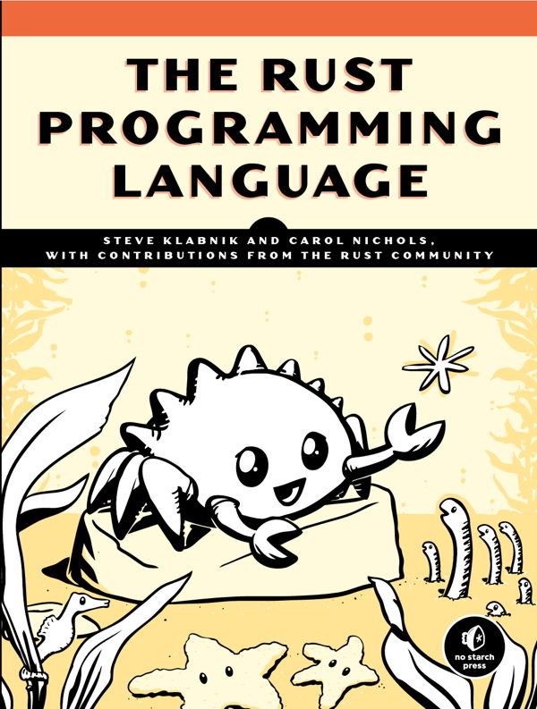 rust programming language developer