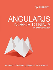 angular novice to ninja